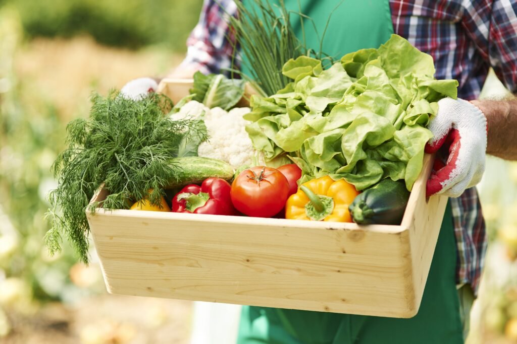 qué cultivar en tu huerto