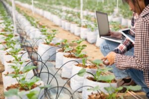 Lee más sobre el artículo Cómo puedo utilizar la tecnología en mi cultivo ecológico