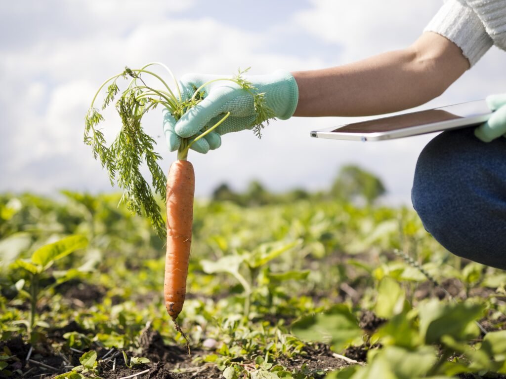 agricultura ecológica