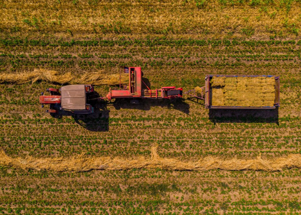 agricultura industrial
