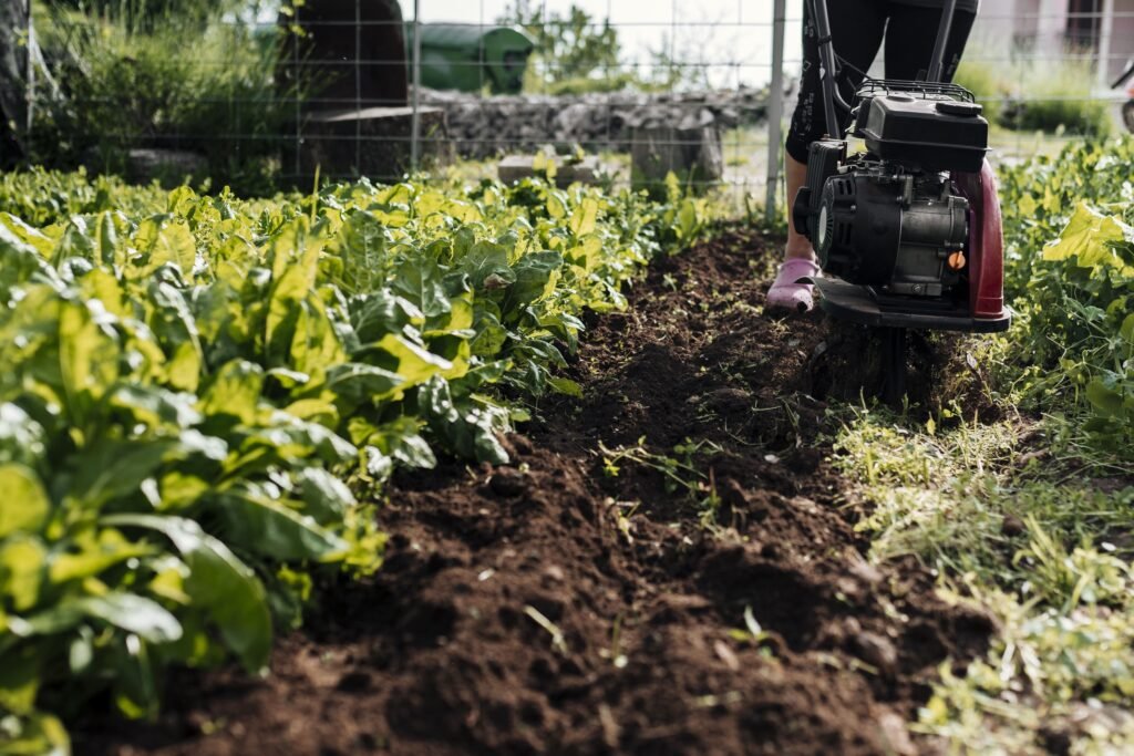 tipos de agricultura