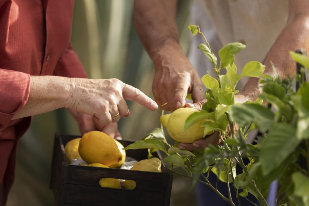 Las frutas más sencillas para plantar en mi huerto urbano