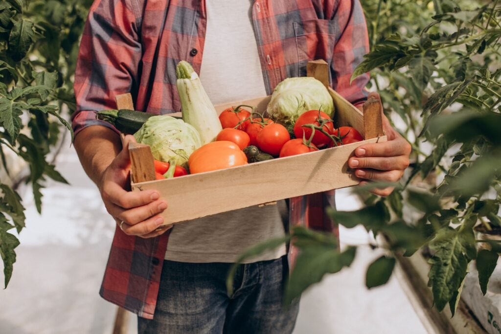 alimentos-ecologicos