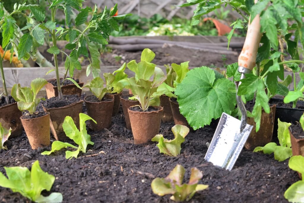tu-huerto-ecologico-en-espacios-pequeños