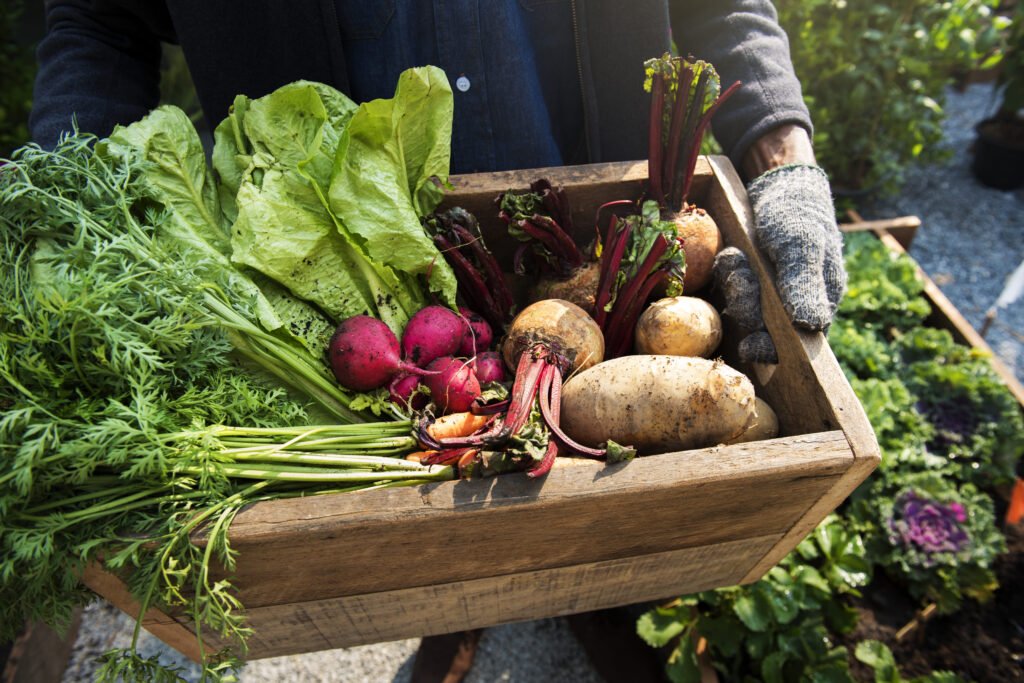 verduras-de-temporada