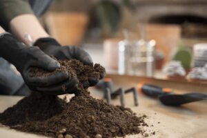 Lee más sobre el artículo Tipos de sustrato: tips para elegir el mejor