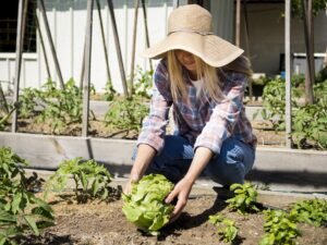 Lee más sobre el artículo Verduras y hortalizas más beneficiosas para cuidarse